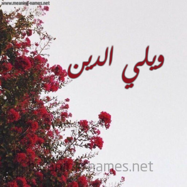 شكل 18 صوره الورد الأحمر للإسم بخط رقعة صورة اسم ويلي الدين Wali